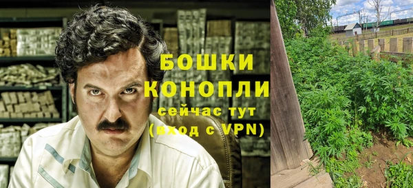 ПСИЛОЦИБИНОВЫЕ ГРИБЫ Семилуки
