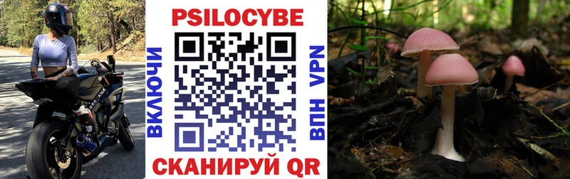 Галлюциногенные грибы Cubensis  Купить закладки  Кола 